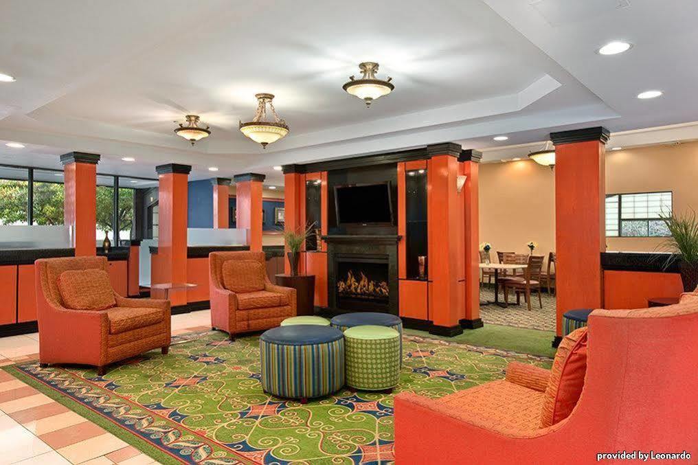 Western New Englander Woburn
